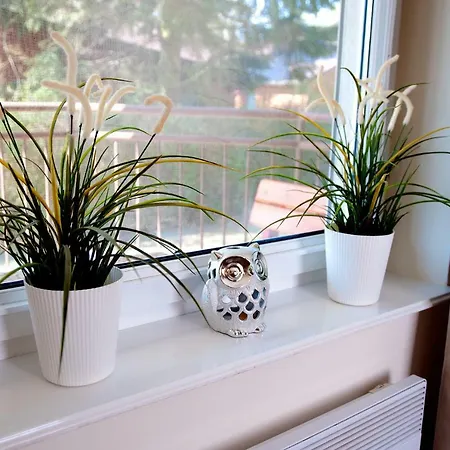 Ikar Blisko Morza 波别罗沃